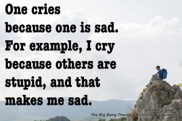 sheldonquote1_1