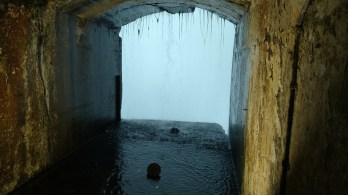 Journey Behind The Falls